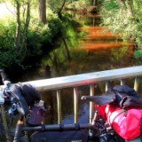 2409H 08 Oste Radweg